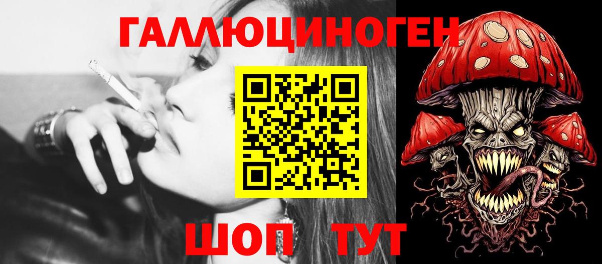 Зима  Псилоцибиновые грибы Psilocybe  Вход с VPN 