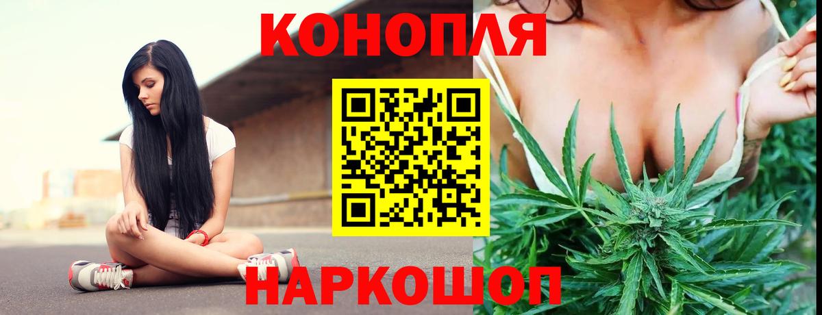 Канабис SATIVA & INDICA Зима